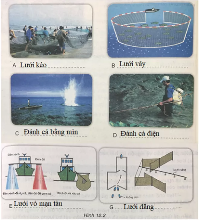 Công nghệ 7 VNEN Bài 12: Khai thác và bảo vệ nguồn lợi hải sản | Hay nhất Giải bài tập Công nghệ 7 VNEN Bai 12 Khai Thac Va Bao Ve Nguon Hai San 4