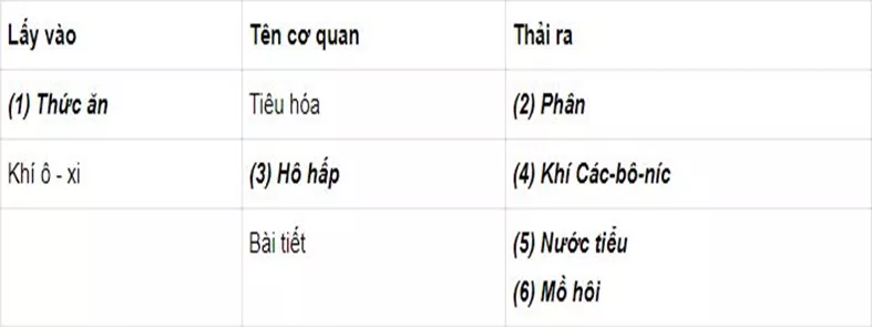 con-nguoi-trao-doi-chat-the-nhu-the-nao Bai 2 Con Nguoi Trao Doi Chat The Nao 5