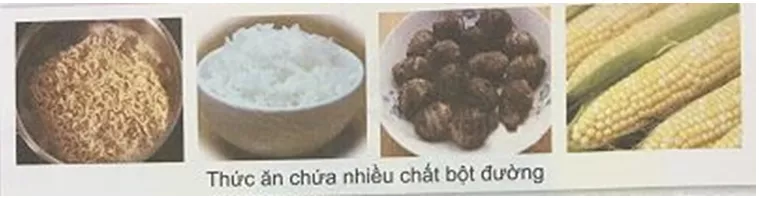 cac-chat-dinh-duong-co-trong-co-the-nguoi Bai 3 Cac Chat Dinh Duong Co Trong Co The Nguoi 