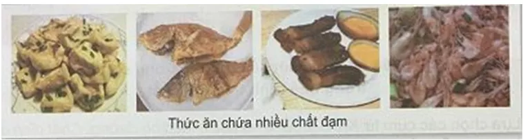 cac-chat-dinh-duong-co-trong-co-the-nguoi Bai 3 Cac Chat Dinh Duong Co Trong Co The Nguoi 1