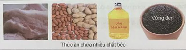 cac-chat-dinh-duong-co-trong-co-the-nguoi Bai 3 Cac Chat Dinh Duong Co Trong Co The Nguoi 2