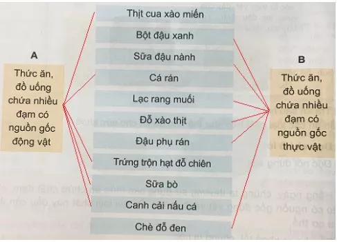 Bài 6: CẦN ĂN THỨC ĂN CHỨA ĐẠM, CHẤT BÉO NHƯ THẾ NÀO ĐỂ CƠ THỂ KHOẺ MẠNH? Bai 6 Can Thuc An Chua Chat Dam Chat Beo 4