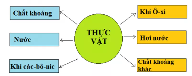 ÔN TẬP VÀ KIỂM TRA CUỐI NĂM On Tap Cuoi Nam 1