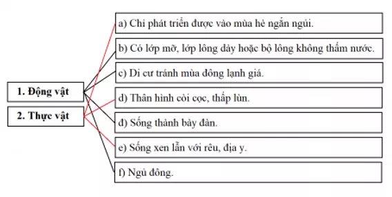 Khoa học xã hội 7 Bài 5: Môi trường đới lạnh | Hay nhất Giải bài tập Khoa học xã hội 7 VNEN Bai 5 Moi Truong Doi Lanh 4