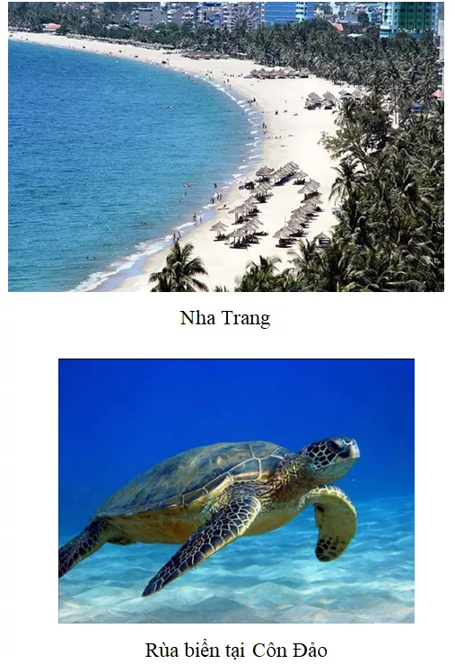 Khoa học xã hội 8 Bài 1: Biển đảo Việt Nam | Hay nhất Giải bài tập Khoa học xã hội 8 VNEN Bai 1 Bien Dao Viet Nam 11