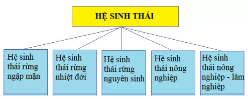 Khoa học xã hội 8 Bài 27: Đất và sinh vật Việt Nam | Hay nhất Giải bài tập Khoa học xã hội 8 VNEN Bai 27 Dat Va Sinh Vat Viet Nam 4