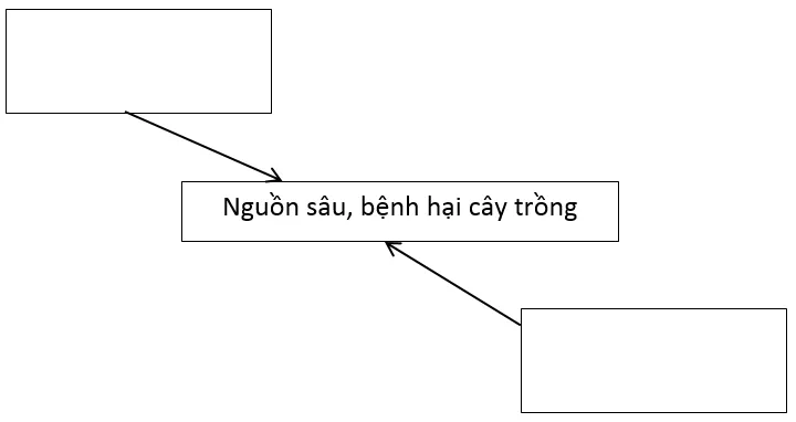 Bài 1 trang 17 SBT Công nghệ 10 | Giải sách bài tập Công nghệ 10 hay nhất tại VietJack Bai 1 Trang 17 Sbt Cong Nghe 10