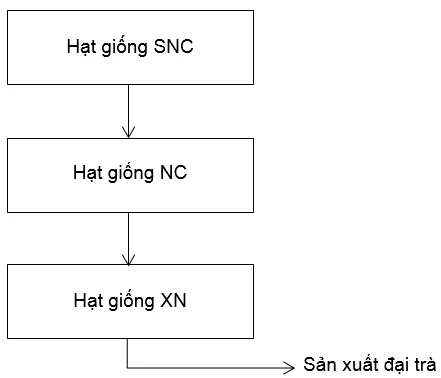 Bài 1 trang 6 SBT Công nghệ 10 | Giải sách bài tập Công nghệ 10 hay nhất tại VietJack Bai 1 Trang 6 Sbt Cong Nghe 10