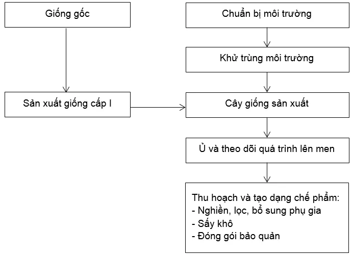 Bài 2 trang 21 SBT Công nghệ 10 | Giải sách bài tập Công nghệ 10 hay nhất tại VietJack Bai 2 Trang 21 Sbt Cong Nghe 10