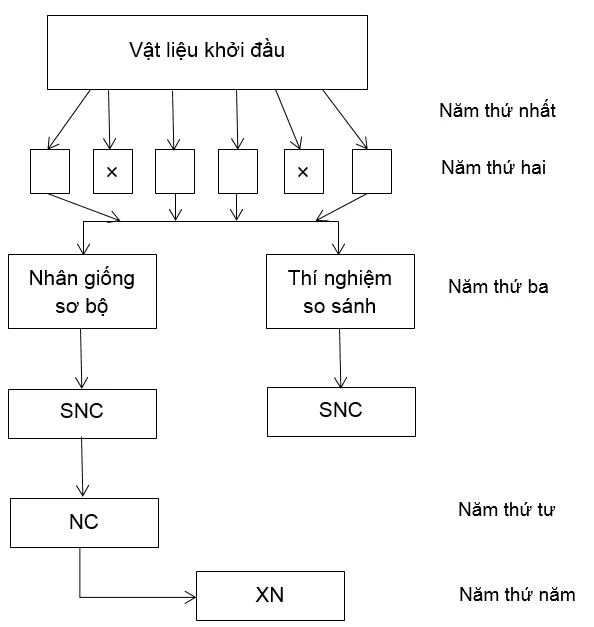 Bài 5 trang 7 SBT Công nghệ 10 | Giải sách bài tập Công nghệ 10 hay nhất tại VietJack Bai 5 Trang 7 Sbt Cong Nghe 10