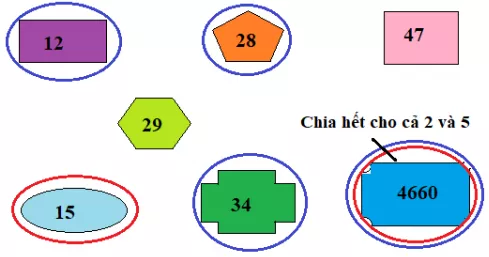 Giải Toán 4 VNEN Bài 54: Dấu hiệu chia hết cho 2. Dấu hiệu chia hết cho 5 | Hay nhất Giải bài tập Toán 4 VNEN Bai 54 Dau Hieu Chia Het Cho 2 Va 5 A01