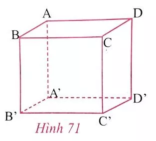 Giải Toán 8 VNEN Bài 1: Hình hộp chữ nhật | Giải bài tập Toán 8 VNEN hay nhất Bai 1 Hinh Hop Chu Nhat A04