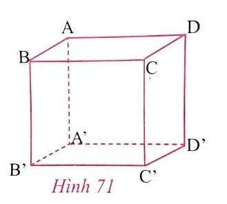 Giải Toán 8 VNEN Bài 1: Hình hộp chữ nhật | Giải bài tập Toán 8 VNEN hay nhất Bai 1 Hinh Hop Chu Nhat A05