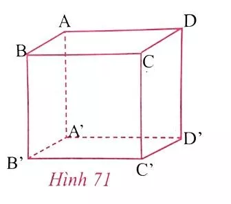 Giải Toán 8 VNEN Bài 1: Hình hộp chữ nhật | Giải bài tập Toán 8 VNEN hay nhất Bai 1 Hinh Hop Chu Nhat A06