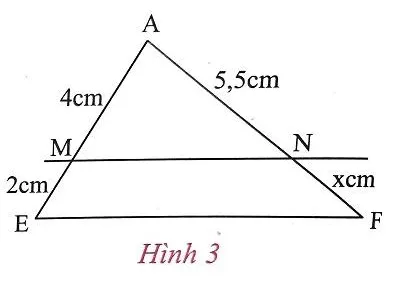 Giải Toán 8 VNEN Bài 1: Tỉ số của hai đoạn thẳng. Định lí Ta-lét trong tam giác | Giải bài tập Toán 8 VNEN hay nhất Bai 1 Ti So Cua Hai Doan Thang Dinh Li Talet A18