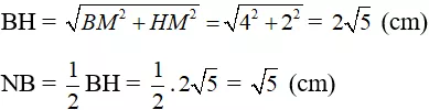 Giải Toán 8 VNEN Bài 5: Diện tích đa giác - Ứng dụng | Giải bài tập Toán 8 VNEN hay nhất Bai 5 Dien Tich Da Giac Ung Dung A10