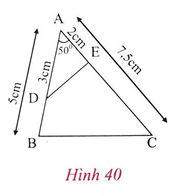 Giải Toán 8 VNEN Bài 6: Trường hợp đồng dạng thứ hai | Giải bài tập Toán 8 VNEN hay nhất Bai 6 Truong Hop Dong Dang Thu Hai A15