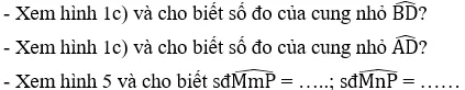 Giải Toán 9 VNEN Bài 1: Góc ở tâm - số đo cung | Giải bài tập Toán 9 VNEN hay nhất Bai 1 Goc O Tam A22