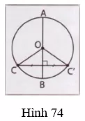 Giải Toán 9 VNEN Bài 1: Sự xác định đường tròn. Tính chất đối xứng của đường tròn | Giải bài tập Toán 9 VNEN hay nhất Bai 1 Su Xac Dinh Duong Tron Tinh Chat Doi Xung Cua Duong Tron 9