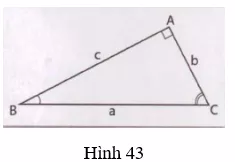 Giải Toán 9 VNEN Bài 5: Một số hệ thức về cạnh và góc trong tam giác vuông | Giải bài tập Toán 9 VNEN hay nhất Bai 5 Mot So He Thuc Ve Canh Va Goc Trong Tam Giac Vuong 10