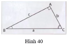 Giải Toán 9 VNEN Bài 5: Một số hệ thức về cạnh và góc trong tam giác vuông | Giải bài tập Toán 9 VNEN hay nhất Bai 5 Mot So He Thuc Ve Canh Va Goc Trong Tam Giac Vuong 3