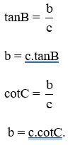 Giải Toán 9 VNEN Bài 5: Một số hệ thức về cạnh và góc trong tam giác vuông | Giải bài tập Toán 9 VNEN hay nhất Bai 5 Mot So He Thuc Ve Canh Va Goc Trong Tam Giac Vuong 9