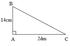 Bài tập Hình tam giác. Diện tích hình tam giác Toán lớp 5 có lời giải Bai Tap Hinh Tam Giac Dien Tich Hinh Tam Giac 5