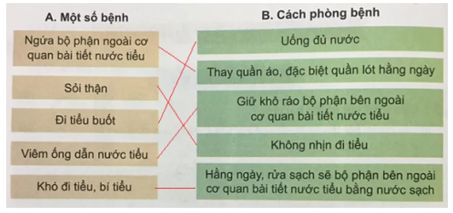 Tự nhiên và xã hội 3 Bài 5: Cơ quan bài tiết nước tiểu | Hay nhất Giải bài tập Tự nhiên và xã hội 3 VNEN Bai 5 Co Quan Bai Tiet Nuoc Tieu 5