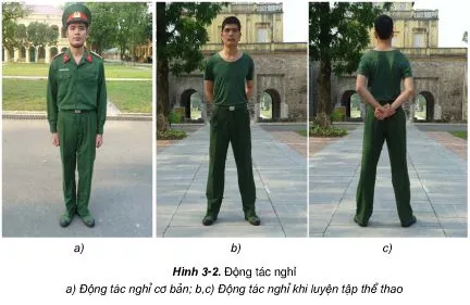 Nêu ý nghĩa và cách thực hiện các động tác nghiêm, nghỉ, quay tại chỗ Neu Y Nghia Va Cach Thuc Hien Cac Dong Tac Nghiem Nghi Quay Tai Cho 1