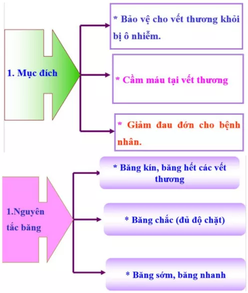 Trình bày mục đích, nguyên tắc băng vết thương Trinh Bay Muc Dich Nguyen Tac Bang Vet Thuong