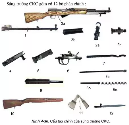 Nêu tác dụng tính năng chiến đấu, cấu tạo của súng trường CKC. Hãy so sánh Neu Tac Dung Tinh Nang Chien Dau Cau Tao Cua Sung Truong Ckc 1