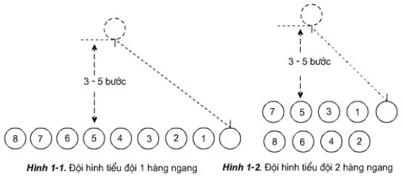 Thực hiện các bước chỉ huy đội hình tiểu đội 1 và 2 hàng ngang Thuc Hien Cac Buoc Chi Huy Doi Hinh Tieu Doi 1 Va 2 Hang Ngang