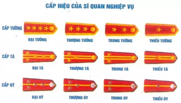 Hãy nêu hệ thống công an hiệu, cấp hiệu và phù hiệu của Công an nhân dân Hay Neu He Thong Cong An Hieu Cap Hieu Va Phu Hieu Cua Cong An Nhan Dan Viet Nam