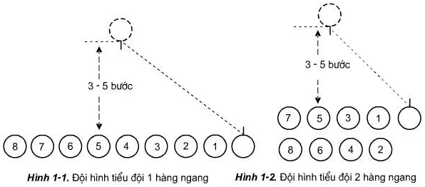 Thực hiện các bước chỉ huy đội hình tiểu đội 1 và 2 hàng ngang Thuc Hien Cac Buoc Chi Huy Doi Hinh Tieu Doi 1 Va 2 Hang Ngang
