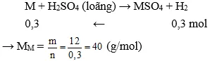 Trắc nghiệm Hóa học 9 Bài 16 (có đáp án): Tính chất hóa học của kim loại Bai Tap Bai 16 Tinh Chat Hoa Hoc Cua Kim Loai A05