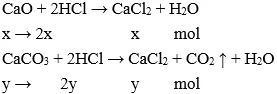 Trắc nghiệm Hóa học 9 Bài 5 (có đáp án): Luyện tập: Tính chất hóa học của oxit và axit Bai Tap Bai 5 Luyen Tap Tinh Chat Hoa Hoc Cua Oxit Va Axit A03