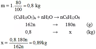 Trắc nghiệm Hóa học 9 Bài 52 (có đáp án): Tinh bột và xenlulozơ Bai Tap Bai 52 Tinh Bot Va Xenlulozo A03