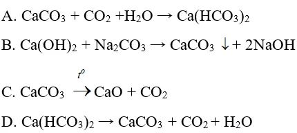 Trắc nghiệm Hóa học 9 Bài 28 (có đáp án): Các oxit của cacbon (phần 2) Trac Nghiem Bai 28 Cac Oxit Cua Cacbon 2
