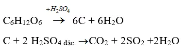Trắc nghiệm Hóa học 9 Bài 5 (có đáp án): Luyện tập: Tính chất hóa học của oxit và axit (phần 2) Trac Nghiem Bai 5 Luyen Tap Tinh Chat Hoa Hoc Cua Oxit Va Axit 18