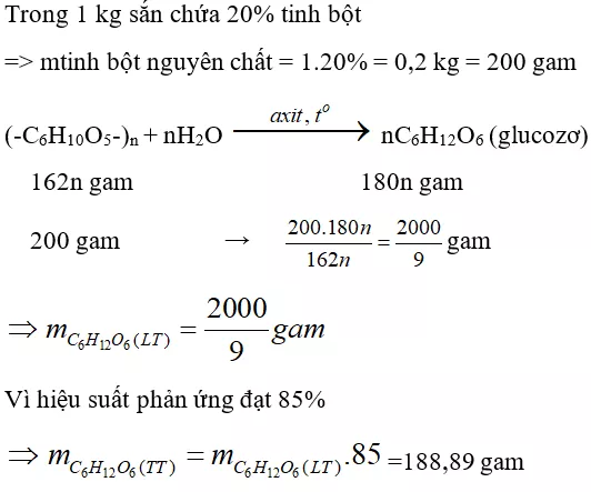 Trắc nghiệm Hóa học 9 Bài 52 (có đáp án): Tinh bột và xenlulozơ (phần 2) Trac Nghiem Bai 52 Tinh Bot Va Xenlulozo 2