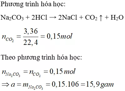 Trắc nghiệm Hóa học 9 Bài 9 (có đáp án): Tính chất hóa học của muối (phần 2) Trac Nghiem Bai 9 Tinh Chat Hoa Hoc Cua Muoi 5