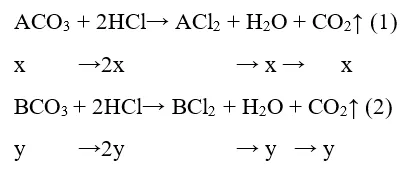 Trắc nghiệm Hóa học 9 Bài 9 (có đáp án): Tính chất hóa học của muối (phần 2) Trac Nghiem Bai 9 Tinh Chat Hoa Hoc Cua Muoi 9