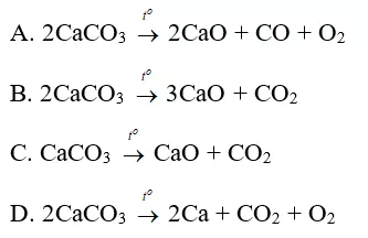 Trắc nghiệm Hóa học 9 Bài 9 (có đáp án): Tính chất hóa học của muối (phần 2) Trac Nghiem Bai 9 Tinh Chat Hoa Hoc Cua Muoi