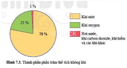 Dựa vào hình 7.3, em hãy nêu thành phần của không khí Dua Vao Hinh 7 3 Em Hay Neu Thanh Phan Cua Khong Khi