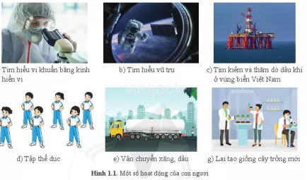 Hãy quan sát hình 1.1 và cho biết những hoạt động nào là hoạt động nghiên cứu Hay Quan Sat Hinh 1 1 Va Cho Biet Nhung Hoat Dong Nao La Hoat Dong Nghien Cuu