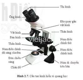 Hãy quan sát hình 2.7 và cho biết tác dụng của các bộ phận chính trong kính hiển vi Hay Quan Sat Hinh 2 7 Va Cho Biet Tac Dung