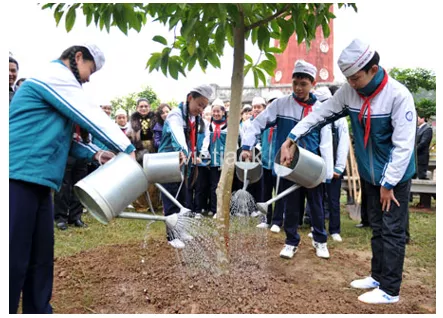 Kể những hoạt động trồng và bảo vệ cây xanh ở địa phương em Ke Nhung Hoat Dong Trong Va Bao Ve Cay Xanh