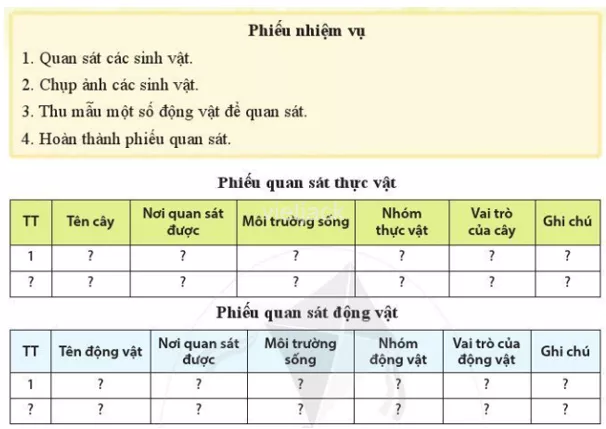 Khi tìm hiểu sinh vật ngoài thiên nhiên, em cần chú ý điều gì để giữ an toàn cho bản thân Khi Tim Hieu Sinh Vat Ngoai Thien Nhien Em Can Chu Y Dieu Gi