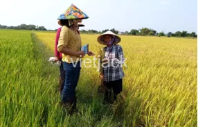 Hãy quan sát hình 1.2 và cho biết khoa học tự nhiên có vai trò như thế nào Kinh Te Nong Nghiep Bai 1