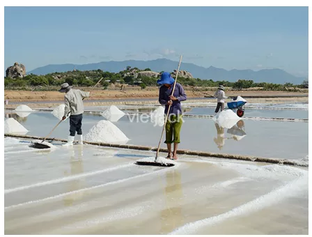 Những người làm muối (từ nước biển sạch) có thể sử dụng những cách làm nước bay hơi Nhung Nguoi Lam Muoi Tu Nuoc Bien Sach Co The Su Dung Nhung Cach